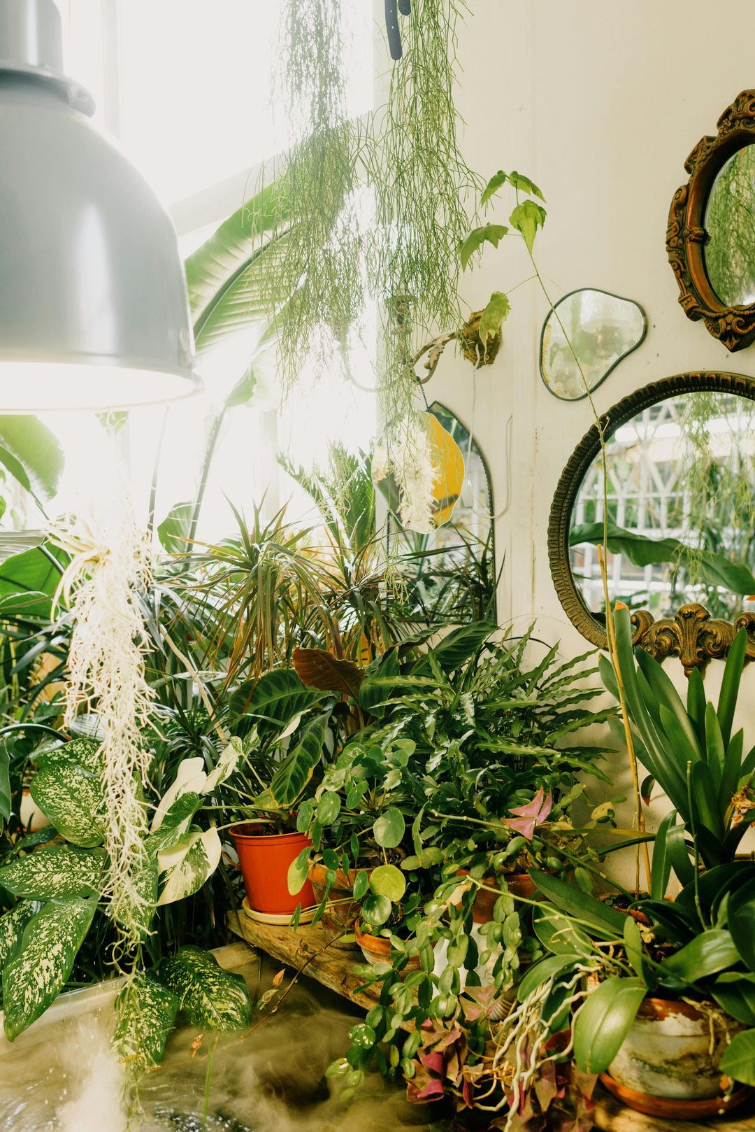 Bringing Nature Indoors: The Art and Science of Biophilic Design Decor & Furniture Farmhouse Furniture - the farmhouse