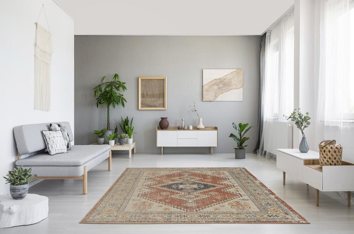 Buy farmhouse furniture Valencia Rust | Large Mediterranean Vintage Distressed Area Rug - Modern Cottage Farmhouse Furniture