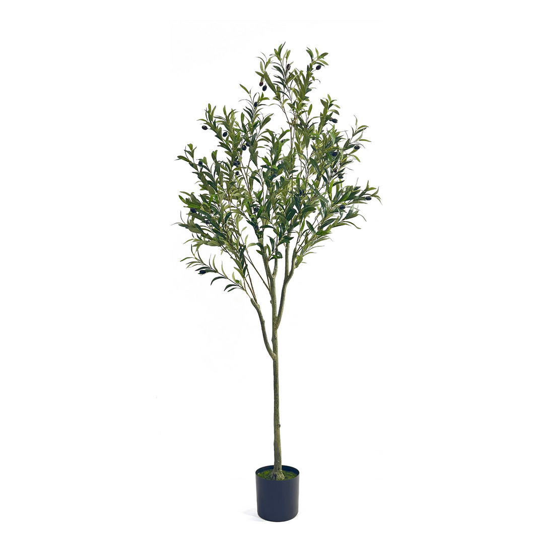 Buy farmhouse furniture Large Farmhouse Olive Tree | Artificial, 6ft Realistic Faux - Modern Cottage Farmhouse Furniture
