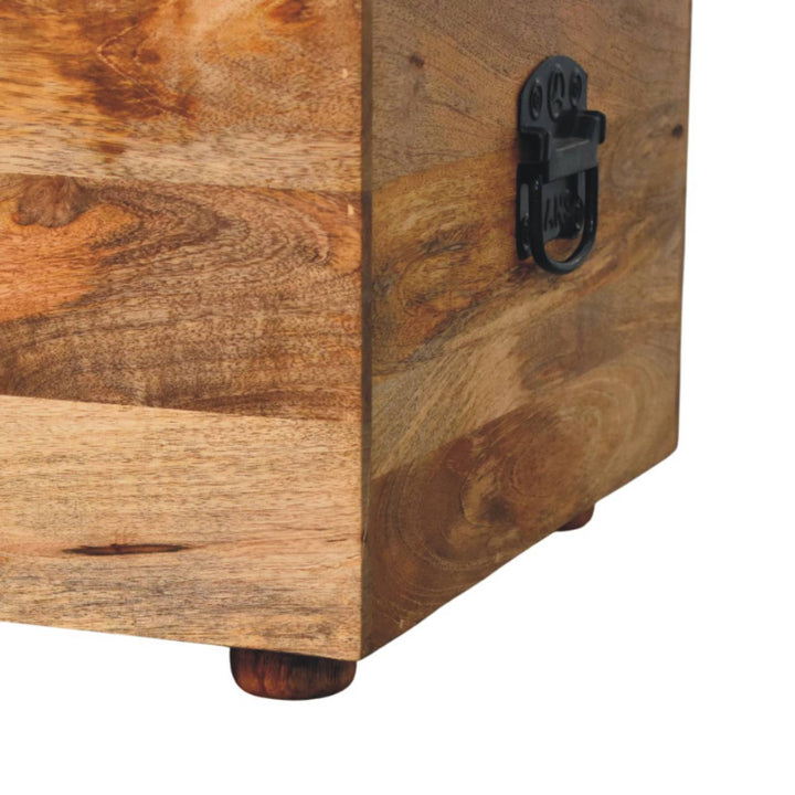 Buy farmhouse furniture Beige Buffalo hide leather Storage Trunk - Modern Cottage Farmhouse Furniture