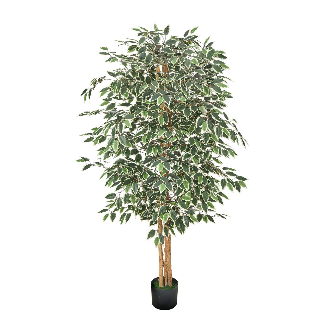 Buy farmhouse furniture 6FT Artificial Ficus Tree with Black Pot, Tall Faux Ficus Plant with Natural Wood Trunk and Realistic Green Leaves, Indoor Fake Silk Tree for Home, Office, Living Room, or Corner Décor - Modern Cottage Farmhouse Furniture